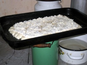tvaroznik sitting before baking