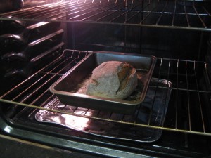 baking bread on bottom rack