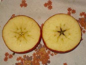 sliced apples showing star