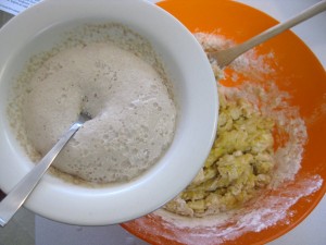 fermented yeast
