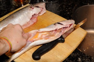 sea trout sliced open showing internal organs