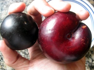 plums