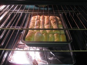 buchty in oven