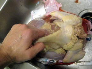 chicken with skin pulled off