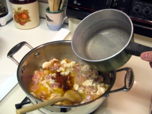 getting ready to simmer paprikash