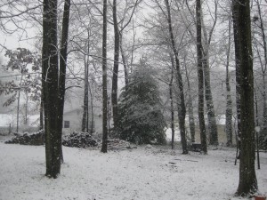 snowy backyard