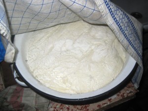 risen dough