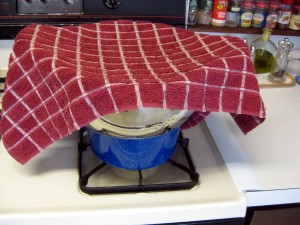 bread dough proving