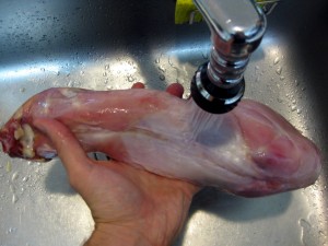 washing rabbit