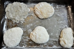 loaves from different kinds of flour before baking