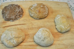 baked loaves from different kinds of flour showing difference in crust color