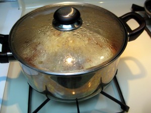 stewing chicken