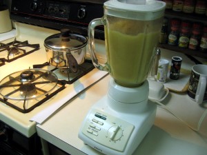 blending onion mushroom sauce