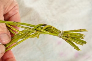 willow whip weaving process