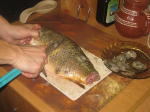 removing carp fish scales