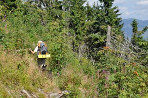 overgrown trail past Certovica