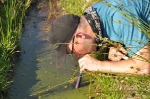 drinking straw for filtering water