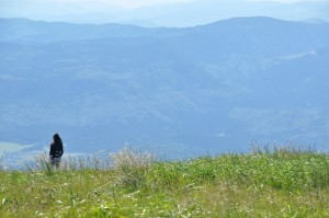 slovak scenery shot with a girl and tall grass