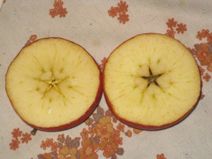 a sliced apple star