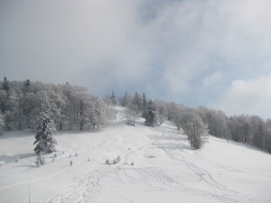 winter donovaly hiking