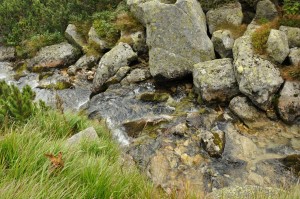 high tatras brook