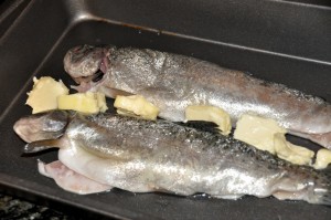 whole trout with butter before baking