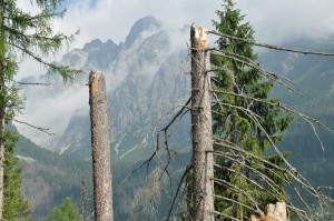 high tatras scenery