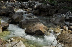 high tatras brook