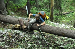 green trail to Slovak paradise