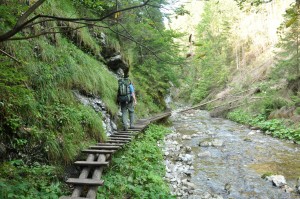 wooden bridge in slovak paradise