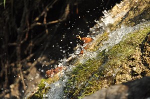 water droplets