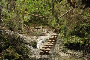 wooden bridge across a creek