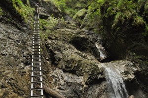 tall steep ladder in sucha bela slovak paradise slovensky raj