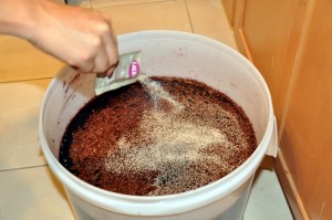 adding yeast