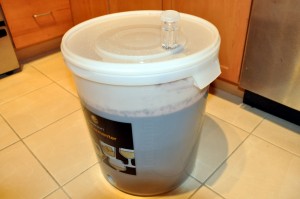 wine primary fermentation